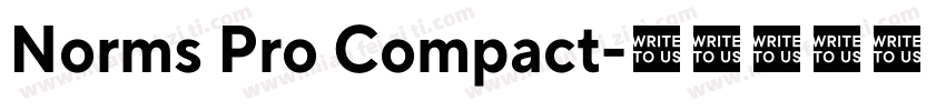 Norms Pro Compact字体转换